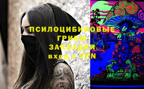 не бодяженный Арсеньев