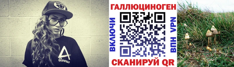 Псилоцибиновые грибы мухоморы  Юрьев-Польский 